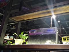 -探鱼·鲜青椒爽麻烤鱼(广州欣荣广场店)