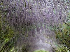 -同里国家湿地公园