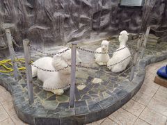 -上海大自然野生昆虫馆(东方明珠·爬宠昆虫探索中心)