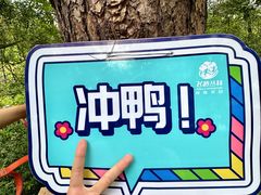 -芦仙山景区-飞越丛林探险乐园