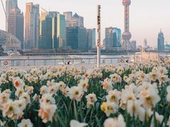 -北外滩滨江绿地