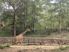 -北京野生动物园