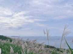 -长江澳风力发电景观区