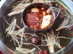 -谭鸭血老火锅(漳州路店)