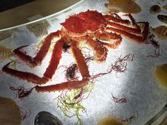 -壳里西餐厅Coquille Seafood Bistro(蒙自路店)