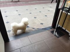 -御蝶坊生日蛋糕KNAC(新村店)