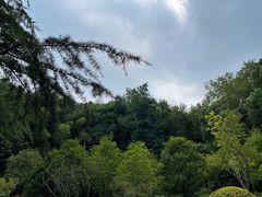 -上海佘山国家森林公园天马山园