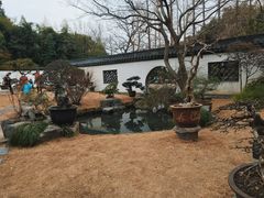 -上海醉白池公园