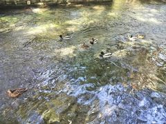 -水磨沟公园