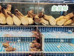 -渔人湾码头海鲜市场负二楼