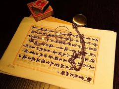 -武汉知音号