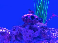 -华夏文旅海洋公园