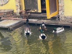 -南宫五洲植物乐园