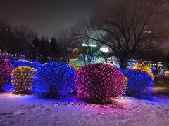 -长春世界雕塑园冰雪艺术天地