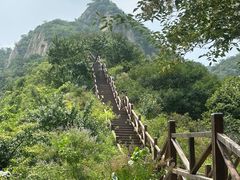 -大岭沟猕猴桃谷风景区