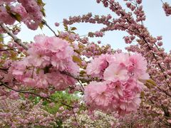 -莲花池公园