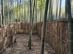 -陶祖圣境风景区