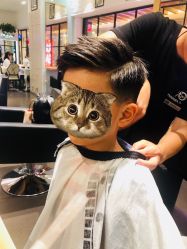 -东方麒麟·潘多拉SALON