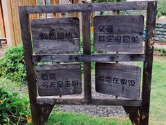 -前小桔亲子创意农场·草莓采摘·露营烧烤
