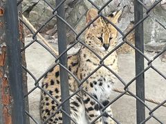 -大连森林动物园