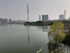-金银湖国家城市湿地公园