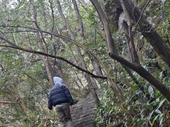 -白云源风景区
