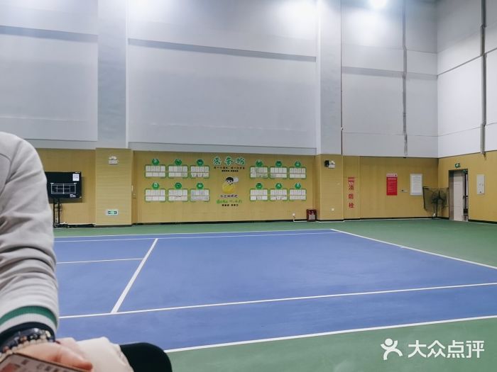 振狮网球俱乐部(九堡校区)图片