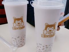 -星多哈·狗咖·拼豆·咖啡