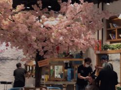 -简影造型·自选烫染接发salon