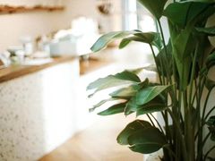 -Line 咖啡(石厦花园店)