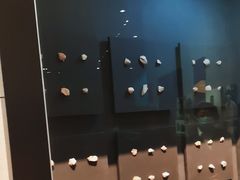 -周口店北京人遗址公园