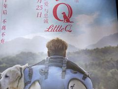 -华美国际影城(旧宫永辉店)