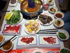 -董记老清泉·鲜切涮羊肉(窑岭店)