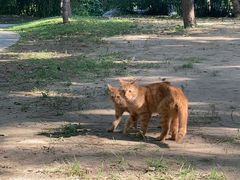 -徐家汇源景区-衡山公园