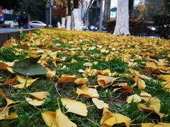 -小板凳(四公里店)