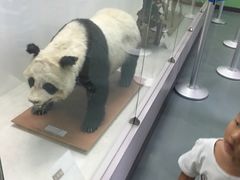 -庆丰包子铺(回龙观店)