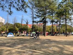 -美兰湖景区