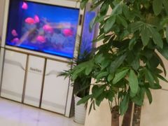-华夏良子·足道SPA艾灸(三里屯店)