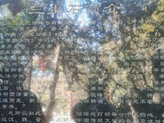 -杭州西湖风景名胜区-三生石