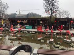 -茯茶镇