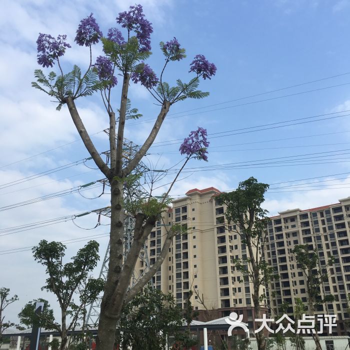 幸福公园-图片-汕头周边游-大众点评网