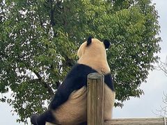 -杭州野生动物世界