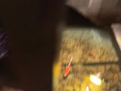 -姚江春中餐厅·太平洋大酒店