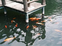 -孔氏南宗家庙