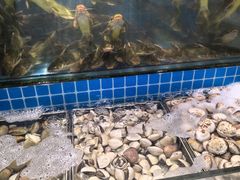 -鹿客臻鲜海鲜自助餐厅(永旺店)