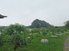 -星湖旅游景区七星岩