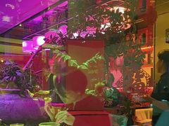 -杏花堂晋商私房菜(华熙五棵松店)