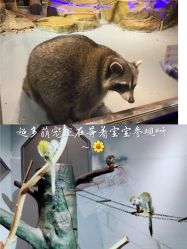 -未来动物城动物主题公园(大悦城店)