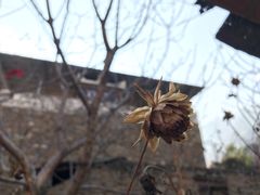 -甘堡藏寨