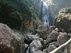 -龙湾潭国家森林公园